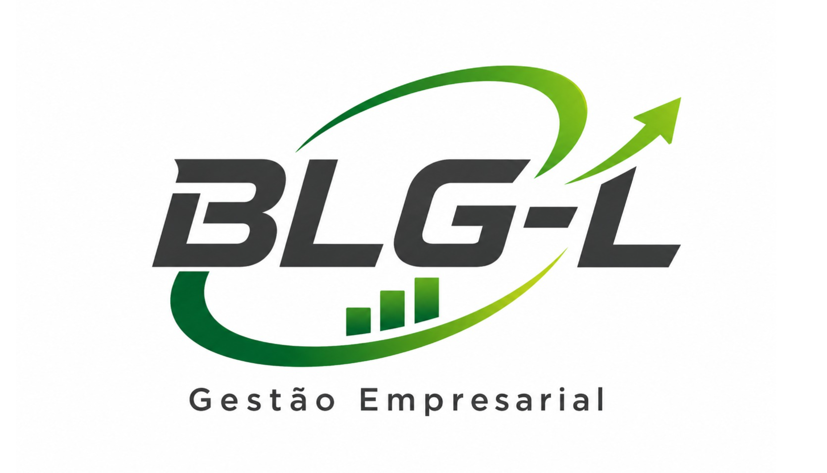BLG-L Gestão Empresarial